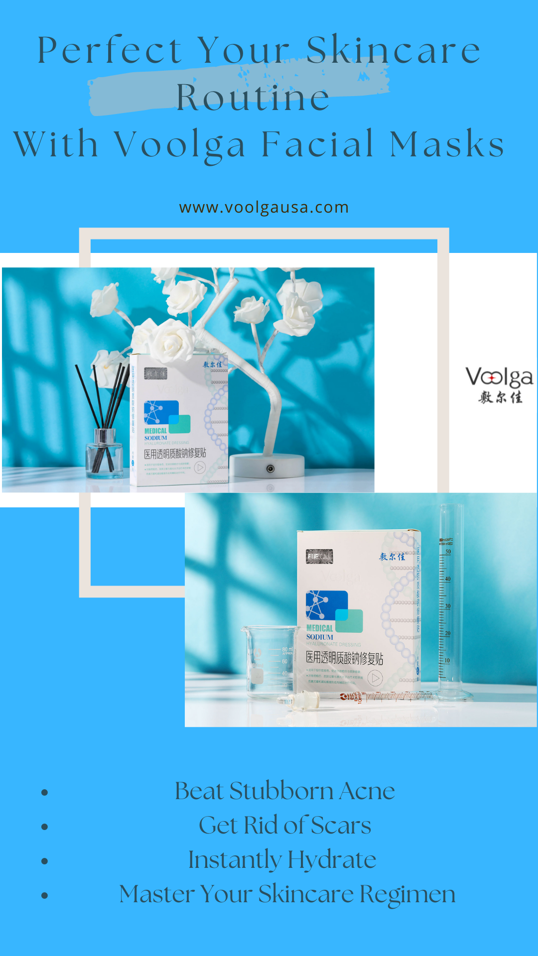 Voolga Medical Sodium Hyaluronate Dressing Repair Facial Mask(The White Mask)